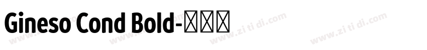Gineso Cond Bold字体转换